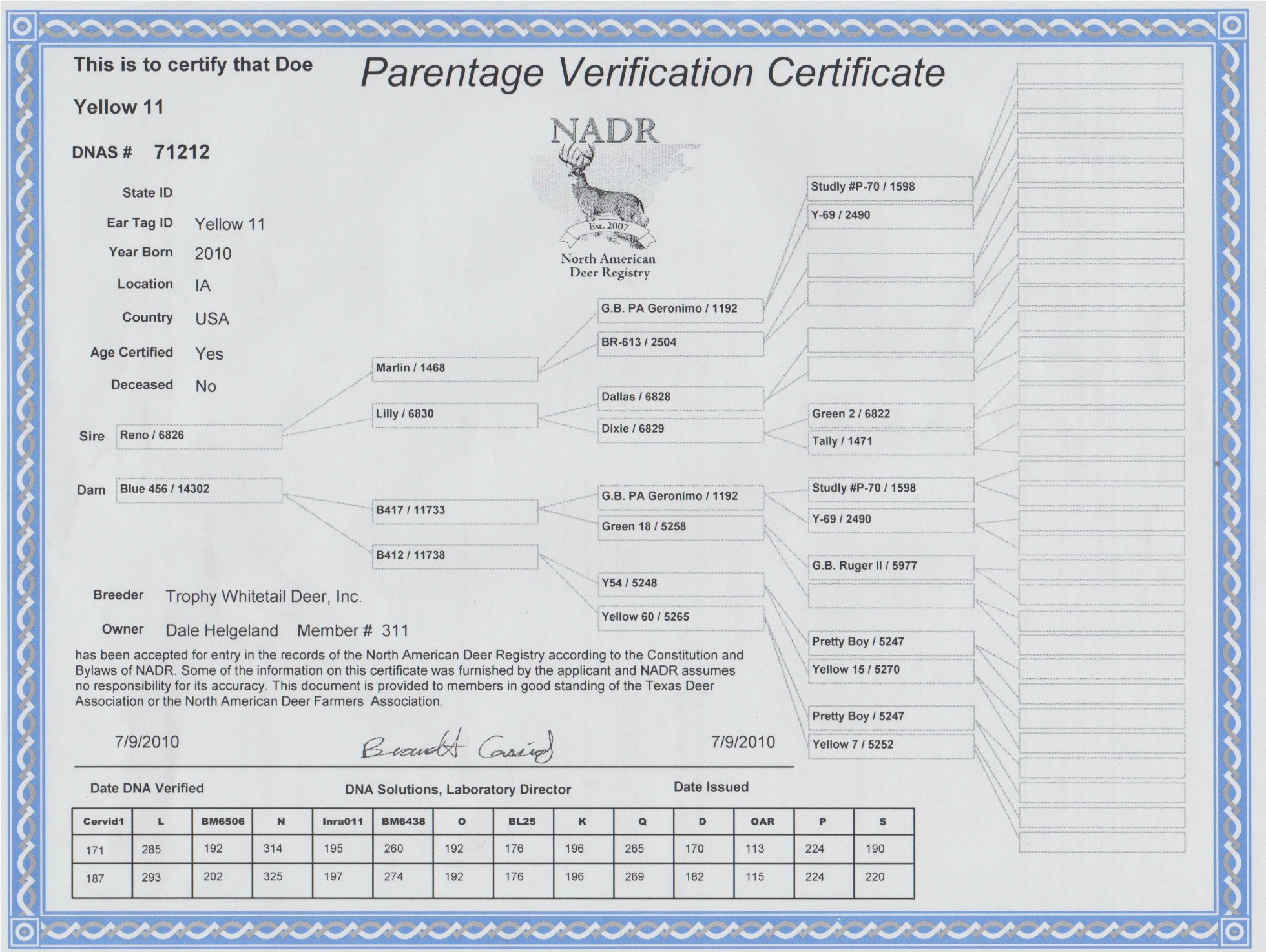 Breeder Does Pedigree